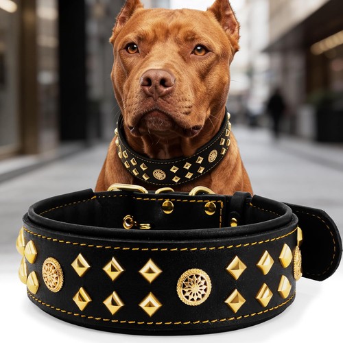 Eliteguard hundehalsband - eliteguard,