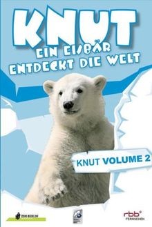Knut ein eisbär entdeckt - -,