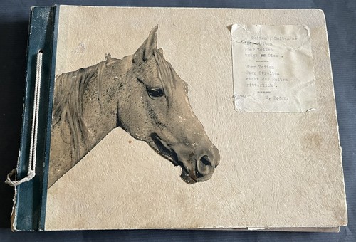 Fotoalbum pferde reiter 50er - pferde,