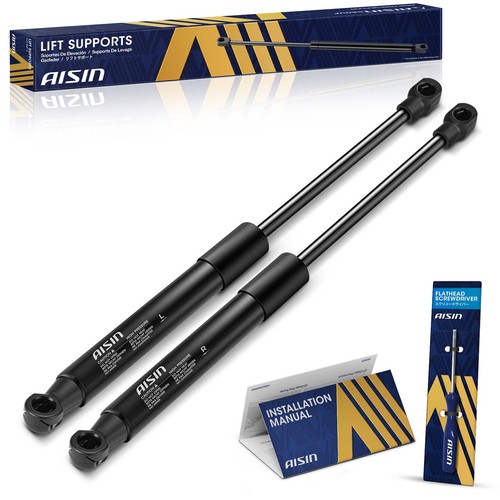 Aisin gasbm 00250 gasfeder - aisin, 2x