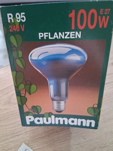 Paulmann reflector 240v - 240v, e27