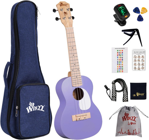 Winzz ukulele kinder konzert - winzz,