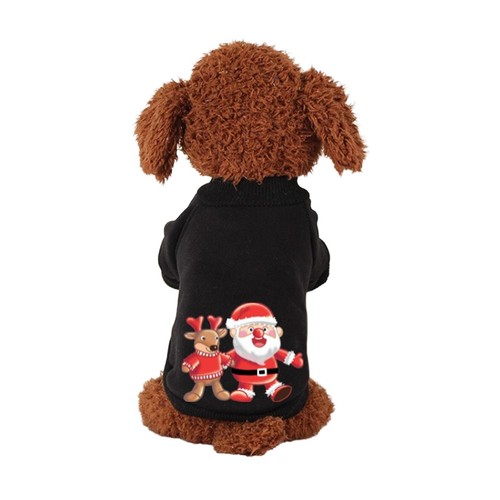 Weihnachtspullover für hunde - weihnachtspullover,