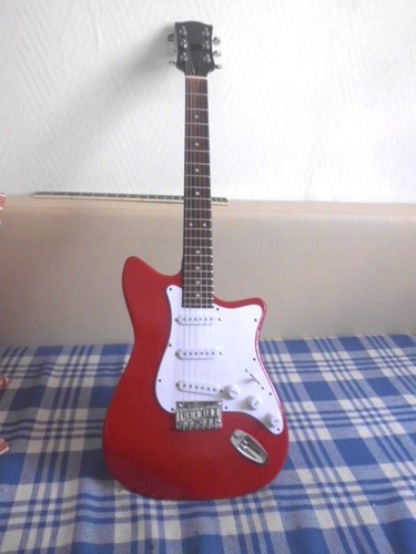 Gitarren projekt bastler - e-gitarren, projekt-bastler