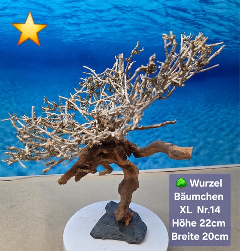 Aquarium wurzel bonsai - 🌳aquarium,