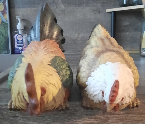 Wunderschönes henne hahn - wunderschönes, henne/hahn