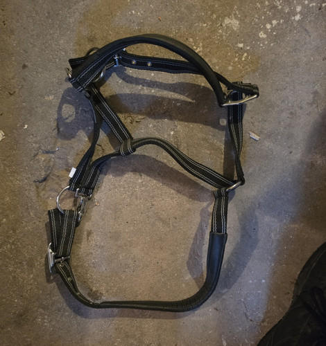 Leder trense zaumzeug mit - leder,