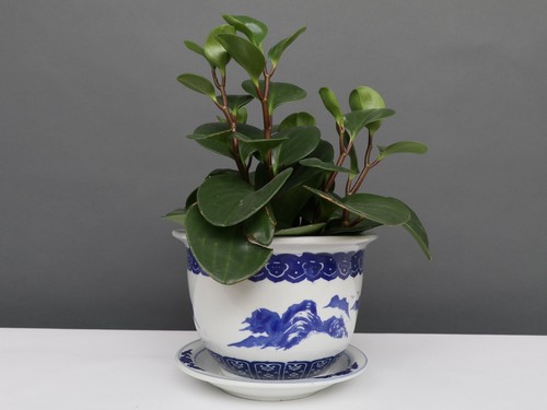China porzellan blumentopf - porzellan,