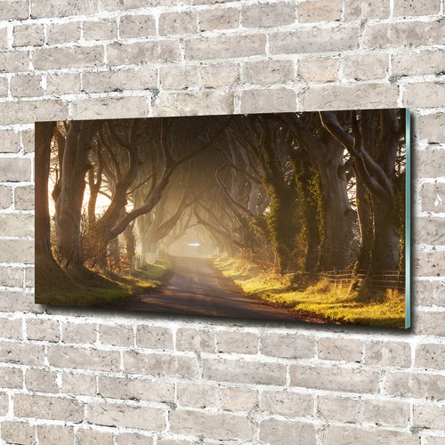 Glas bild wandbilder druck - glas-bild,