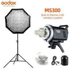 Godox MS300 Studio Flash