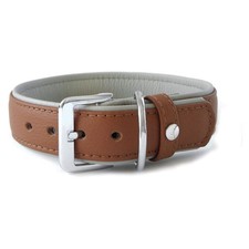 Das Lederband Hunde Halsband