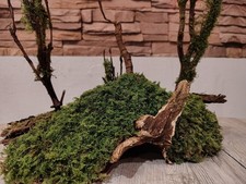 Rinden Wurzelstück Haus Sams