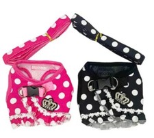 Geschirr Halsband Leine Hund