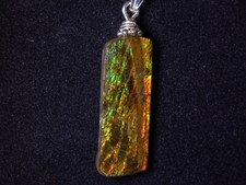 Ammolith Anhänger (Kanada)  21,5 Carat,  BLAM 10