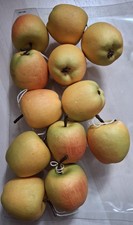 12 Deko Apfel Äpfel  Dekobst