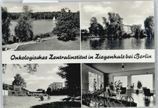 50585377 - 1600 Ziegenhals