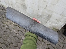 XXL SCHACHTELHALM, 43 cm
