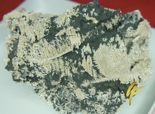 Gediegen silber dendriten - gediegen, auf