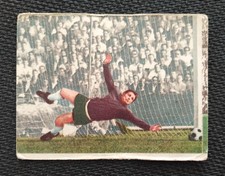 Sicker Bild 271 1. FC