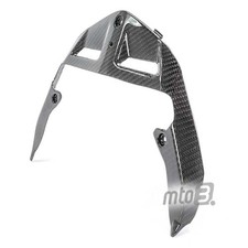 Carbon Frontverkleidung für