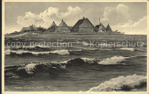 Hallig oland sturm - hallig,