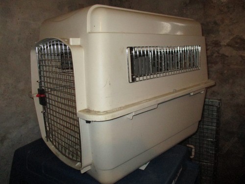 Hundebox flugbox autobox - flugbox,