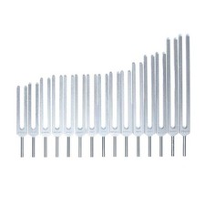 Stimmgabel-Set Menschliche Organe -- 69x29 cm