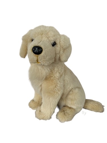Golden retriever hund wie neu - hund,