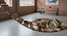 Hängebrücke für Katzen -