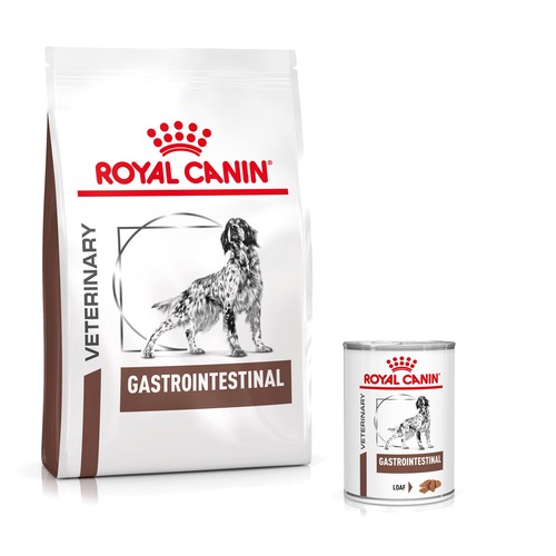 Royal canin gastro intestinal - canin,