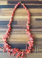 Alte Astkoralle Koralle