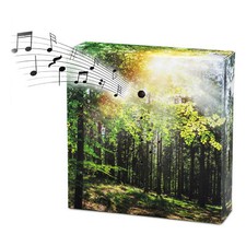 Soundbox vogelgesang wald - soundbox,