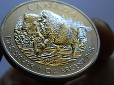 2013 5 (fünf) Dollars - 1oz Silbermünze .9999 - Wood Bison - Kanada - Stempelglanz