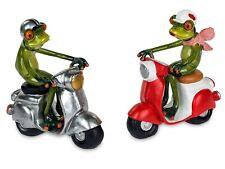 Formano Froschhausen Frosch
