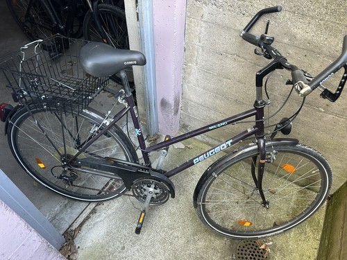 Fahrrad