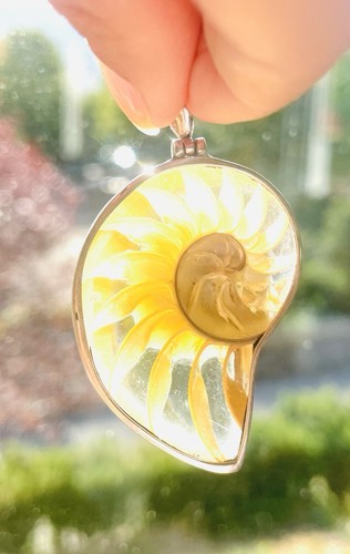 Nautilus anhänger 925 silber - 925,