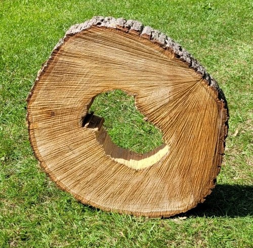 Baumscheibe von der - 🌳,