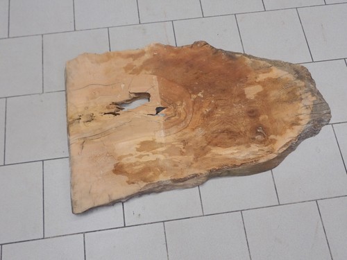 Platane plantanen brett holz - platane,