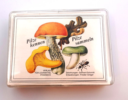 Pilze kennen sammeln - pilze,