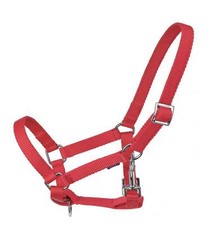 Busse Young Fohlenhalfter