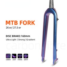 MTB Starr Gabel Carbon Faser