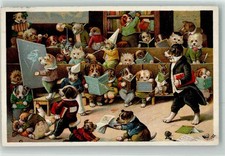 13948885 - Hundeschule Ziehharmonika Verlag Stroefer auf AK Tier,