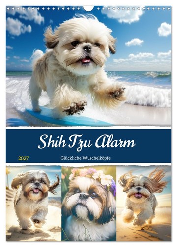 Shih tzu alarm - shih, alarm.