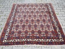 Feine seltene Bachtiar -