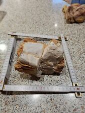 Aquarium Deko Steine Natursteine Preis je Bild