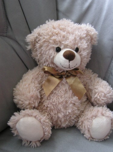 Teddy bär mit schleife - mit, heunec
