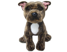 Staffordshire Bullterrier