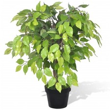 Künstlicher Zwerg-Ficus mit