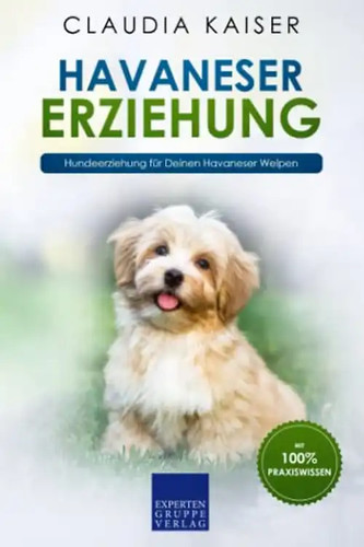 Havaneser erziehung - havaneser,