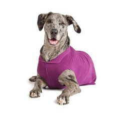 Hundepullover goldpaw stretch - hundepullover,